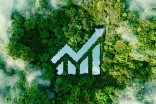 沛嘉医疗-B午前涨超7% TaurusTrio经导管主动脉瓣系统中国正式获批